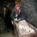Bild 13