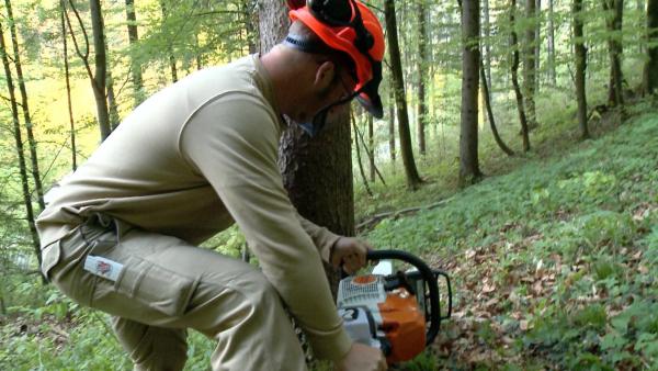 Bild 1 von 4: .