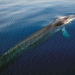 Pelagos - Welt der Wale