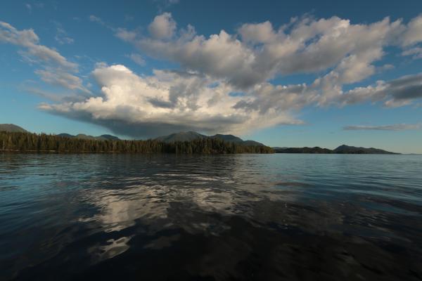 Bild 1 von 1: Landschaft und Stimmung auf Gil Island an einem sonnigen Tag.