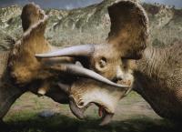 Dinosaurier - Reise in eine vergangene Welt