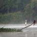 Kinabatangan - Der Amazonas des Ostens