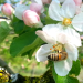 natur exclusiv