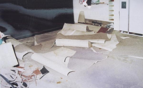 Bild 1 von 6: .
