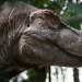 Unter Dinos - Geheimnisse der Urzeit