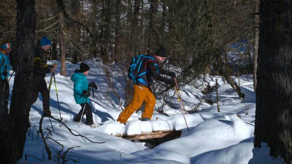 Bild 1 von 2: .
