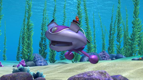 Bild 1 von 2: Skid überlegt als Country-Sänger aufzutreten.