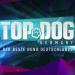 Bild 12
