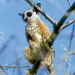 Welt der Tiere