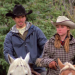 Heartland - Paradies für Pferde