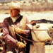 Die Cowboys