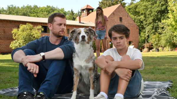 Bild 1 von 11: 