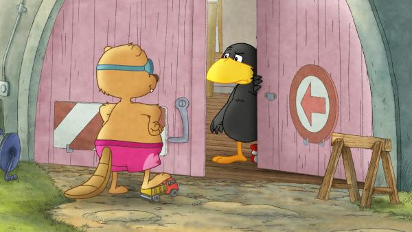 Bild 1 von 4: Wer stört? Socke hat keine Lust auf Henry.