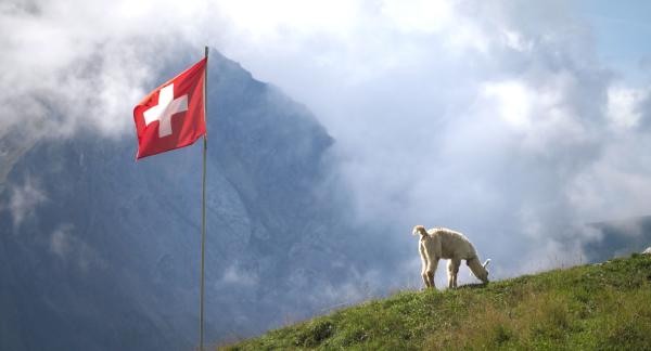 Bild 1 von 3: 