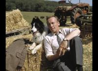 Der Doktor und das liebe Vieh