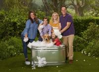 American Housewife