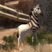 Khumba - Das Zebra ohne Streifen