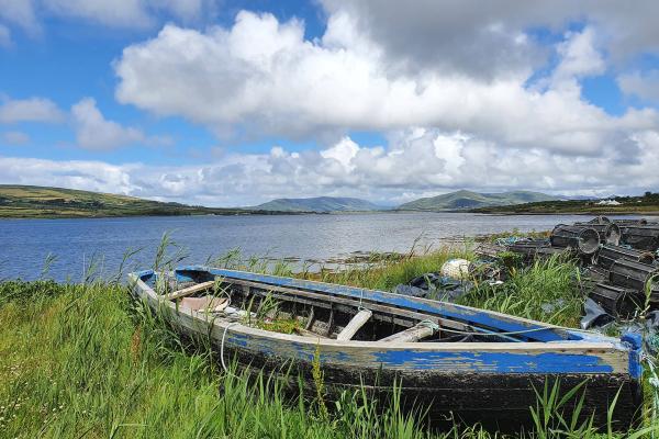 Bild 1 von 4: Auf seinem Weg zum Atlantik bildet der Fluss Shannon einige große Seen. Fürmanche sind die Binnengewässer Irlands zum zuhause geworden.