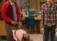 The Big Bang Theory