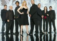 CSI: Den Tätern auf der Spur