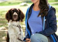 Der Hundeprofi - Rütters Team