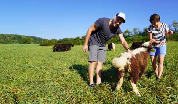 Bild 1 von 12: Mit der Zucht von tibetischen Yak-Rindern wollen Sigrid und Bastian Reif ihren Hof in Mittelfranken bald im Vollerwerb betreiben. Als die Herde von einer tödlichen Krankheit befallen wird, gerät das Projekt ins Wanken...