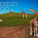 San Diego Zoo