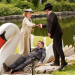 Murdoch Mysteries - Auf den Spuren mysteriöser Mordfälle