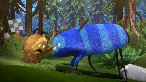 Bild 1 von 3: Kiwi möchte einfach nur ein Brettspiel spielen.