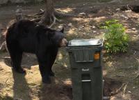 Die wildeste Stadt der Welt: Anchorage