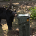 Die wildeste Stadt der Welt: Anchorage