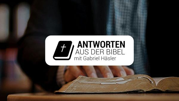 Bild 1 von 4: .