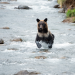 Wildes Japan - Land der tausend Inseln
