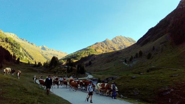Bild 1 von 16: .