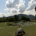 Ein Sommer im Freibad