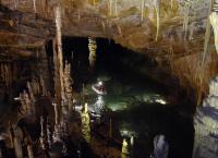 Slowenien - Am Puls der Wildnis