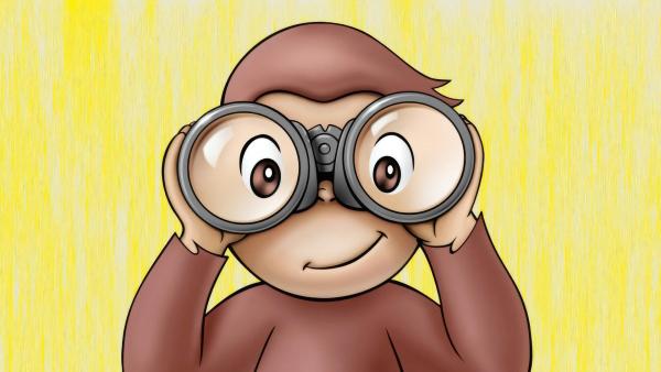 Bild 1 von 4: Coco, der neugierige Affe