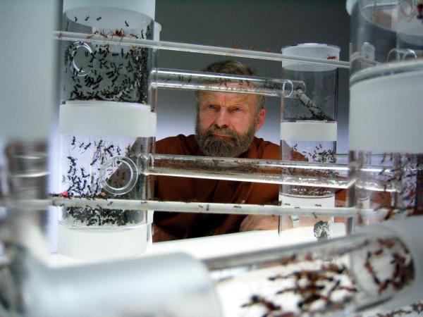 Bild 1 von 3: Bert Hölldobler.