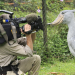Anna und die wilden Tiere