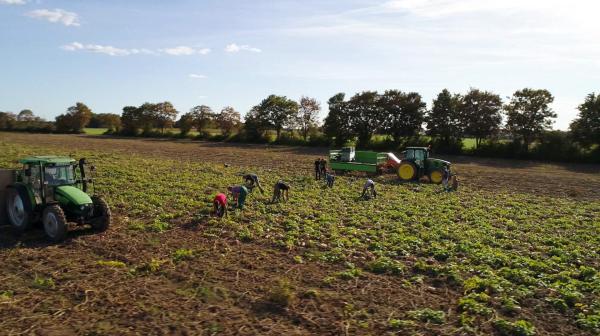 Bild 1 von 5: Arbeit auf dem Feld