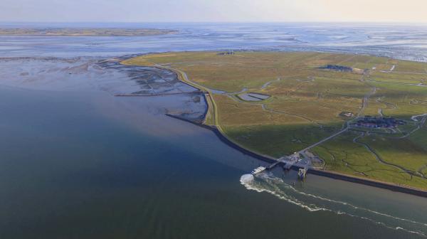 Bild 1 von 3: Nationalpark Wattenmeer - Blick auf Hallig Hooge.