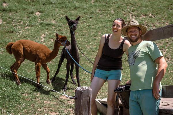 Bild 1 von 5: Kitzbühel; Andrea Möllinger, Peter Astl.