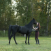 Flicka 3 - Beste Freunde