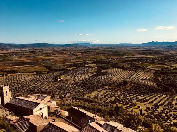 Bild 1 von 8: Im Bild: die Toskana.