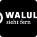 Bilder zur Sendung: Walulis sieht fern