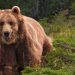 natur exclusiv