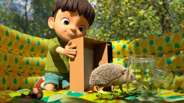 Bild 1 von 3: Ganz schön viel Kundschaft in der Tierklinik von Doktor Kleiner Fuß.