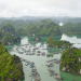 Wildes Vietnam