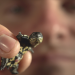 Turtle Hero - Ein Leben für die Schildkröten