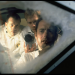 Apollo 13